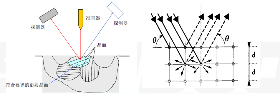 岳和我厨房做爽死我了A片视频