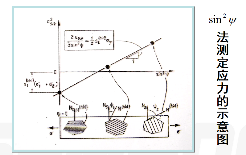 岳和我厨房做爽死我了A片视频